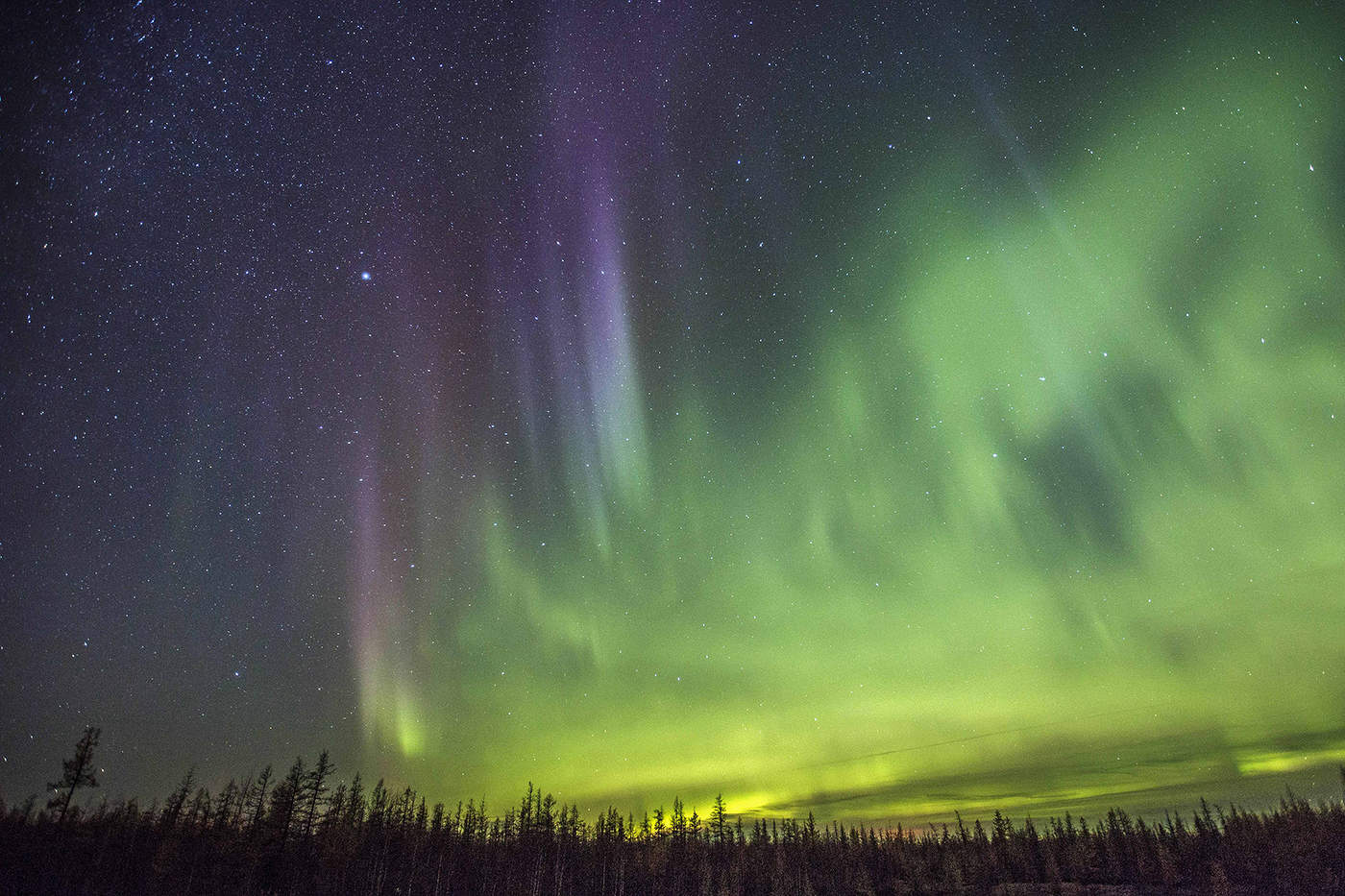 Nordlicht