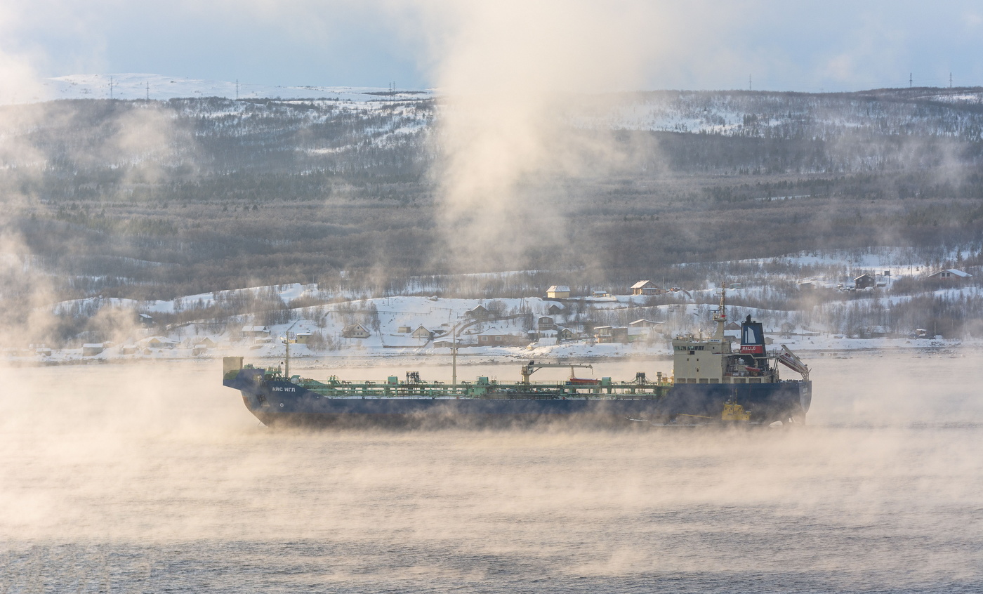 In der frostigen Nebel