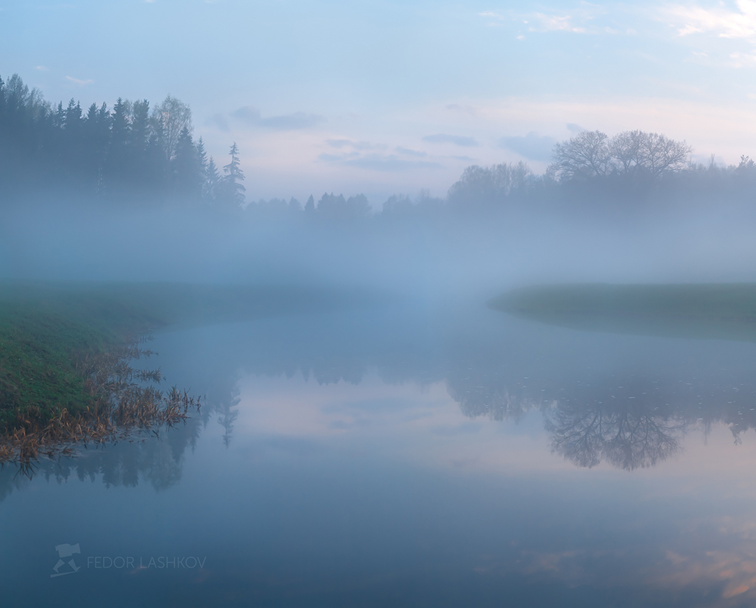Nebel nach dem regen