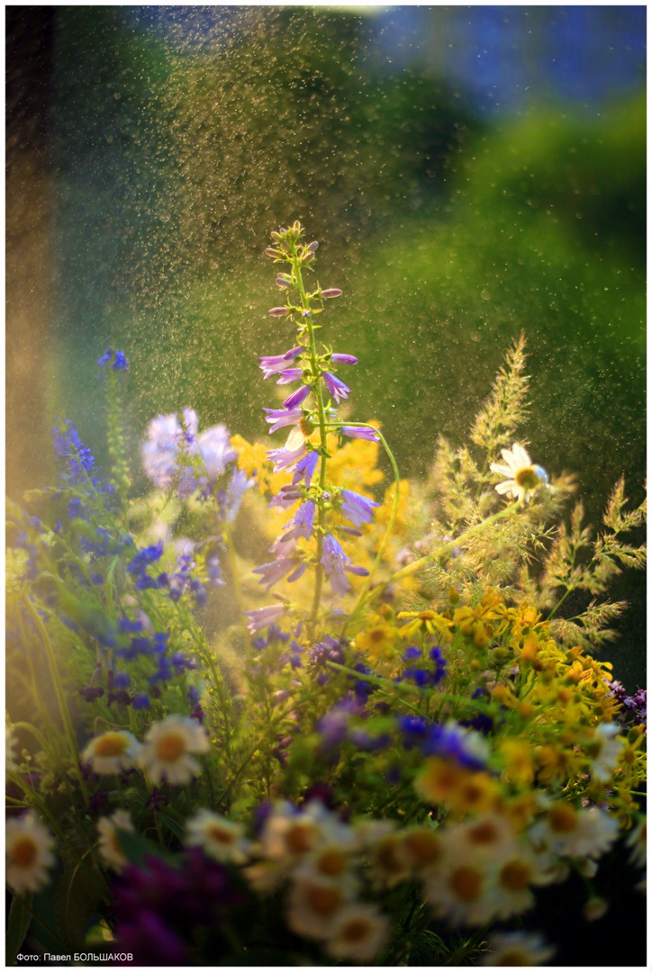 Erinnerungen an den Sommer