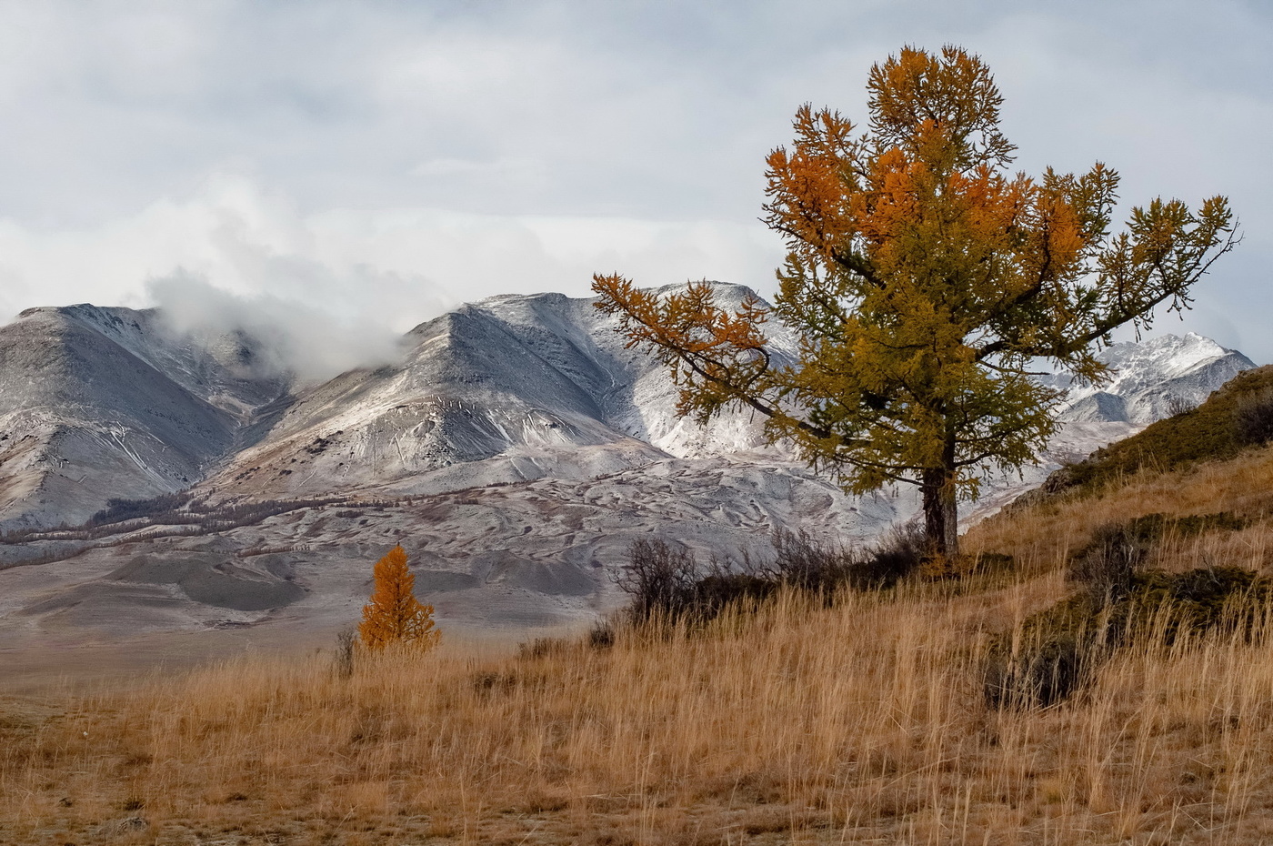 Altai Herbst