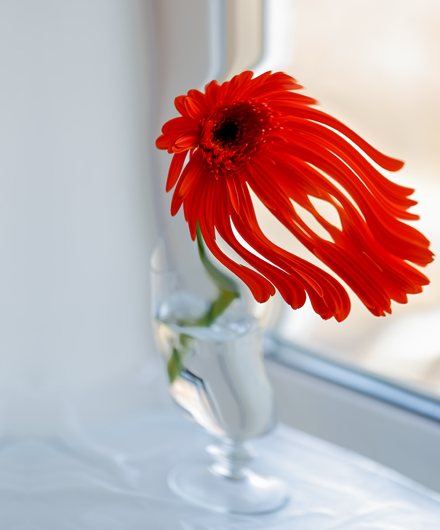 subgravitation (Dali)