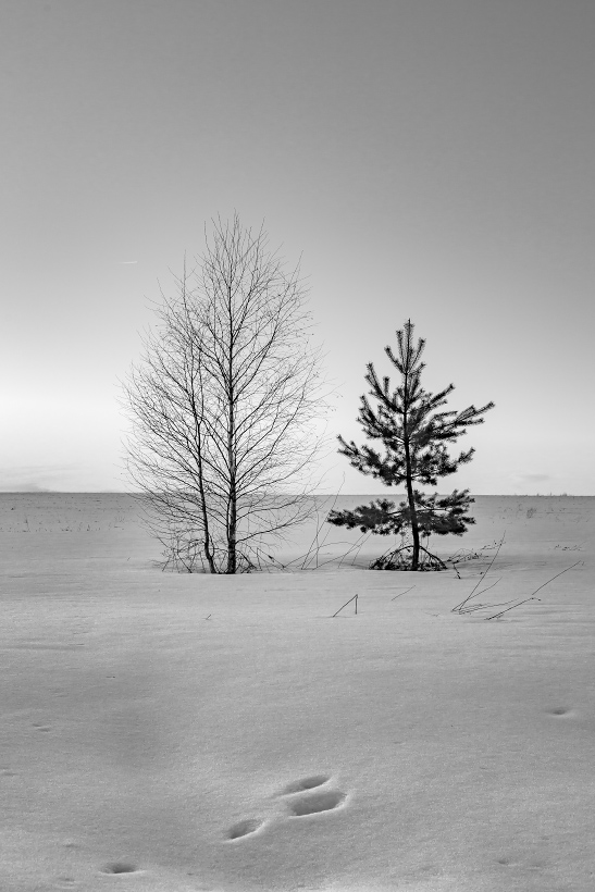 Wir sind so anders ...