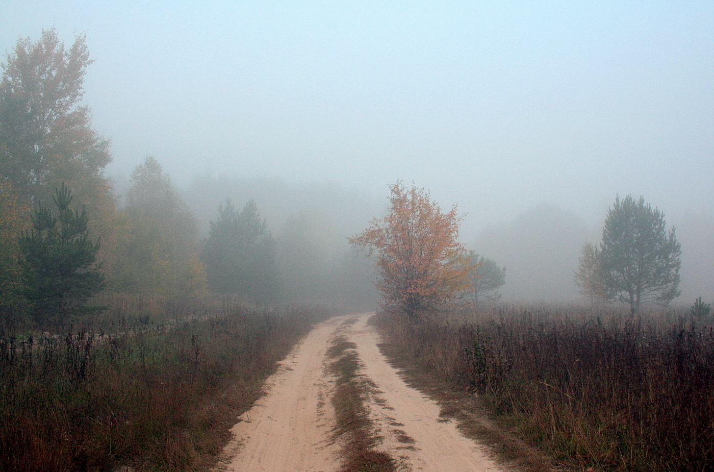 Herbstnebel.
