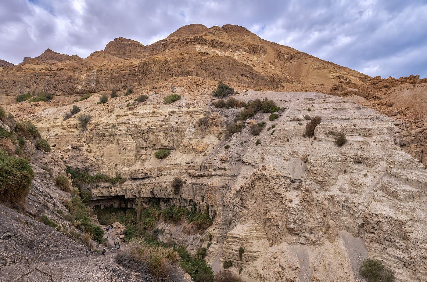 Eine Oase in der Wüste