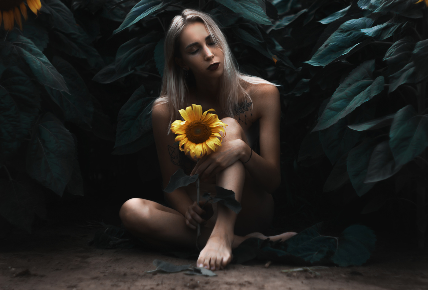 SunFlower
