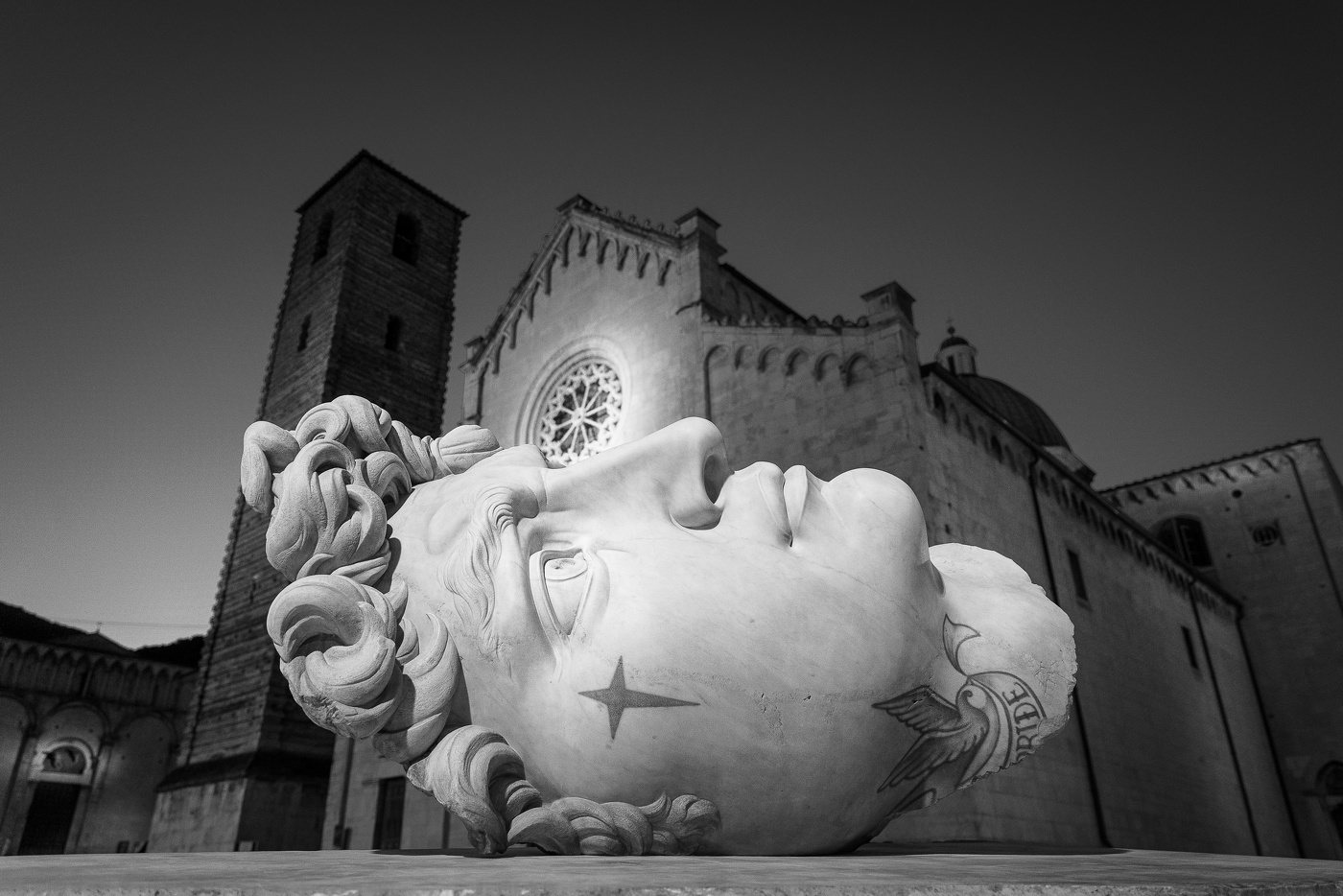 Irises. Open-air art in Tuscany.