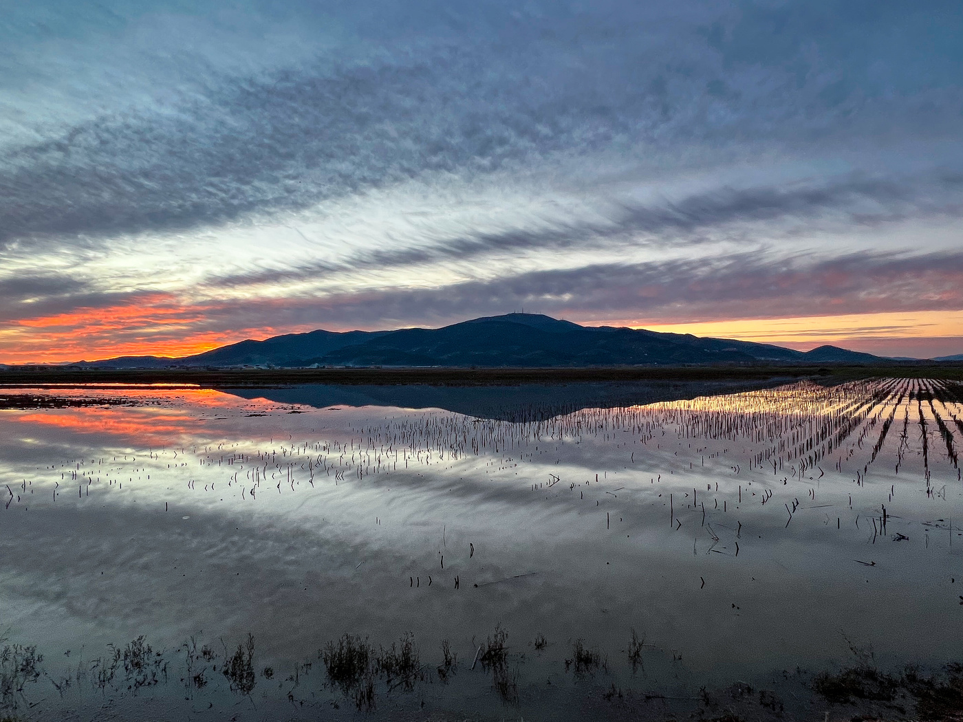 Swamp at sunset in Tuscany