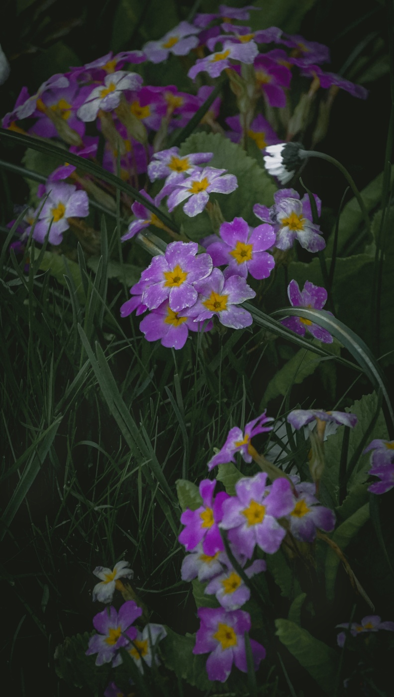 in den frühen Morgenstunden