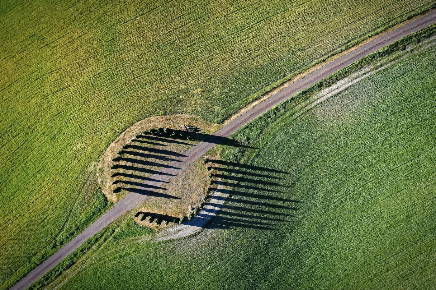 Aerial view of cypress trees of San Quirico D'Orcia in Tuscany