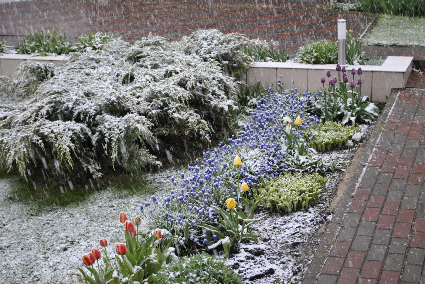 Die Launen des Wetters