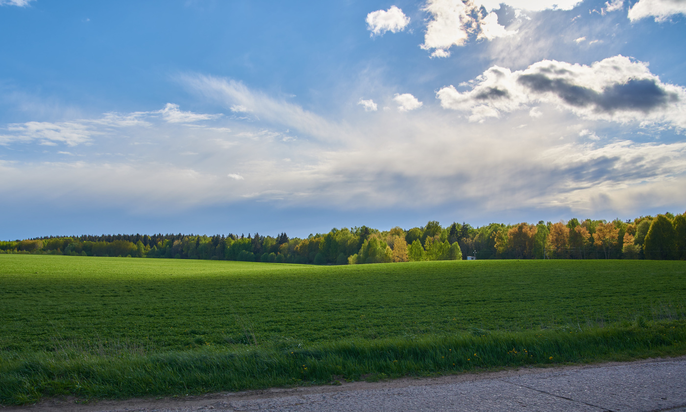 Einheimische Freiflächen