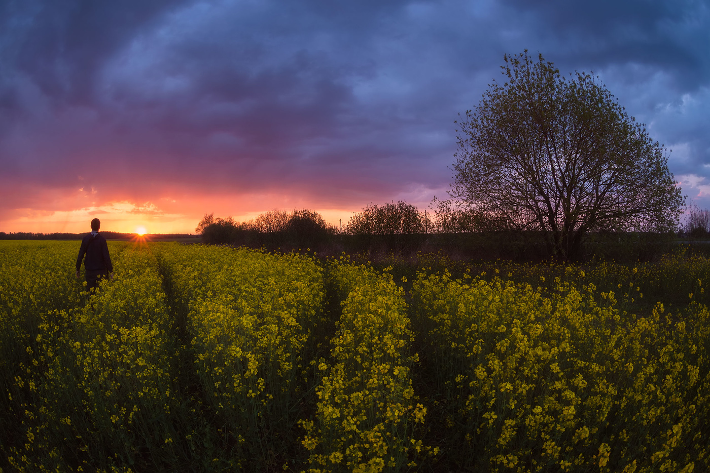 Provazhaya Sonnenuntergang