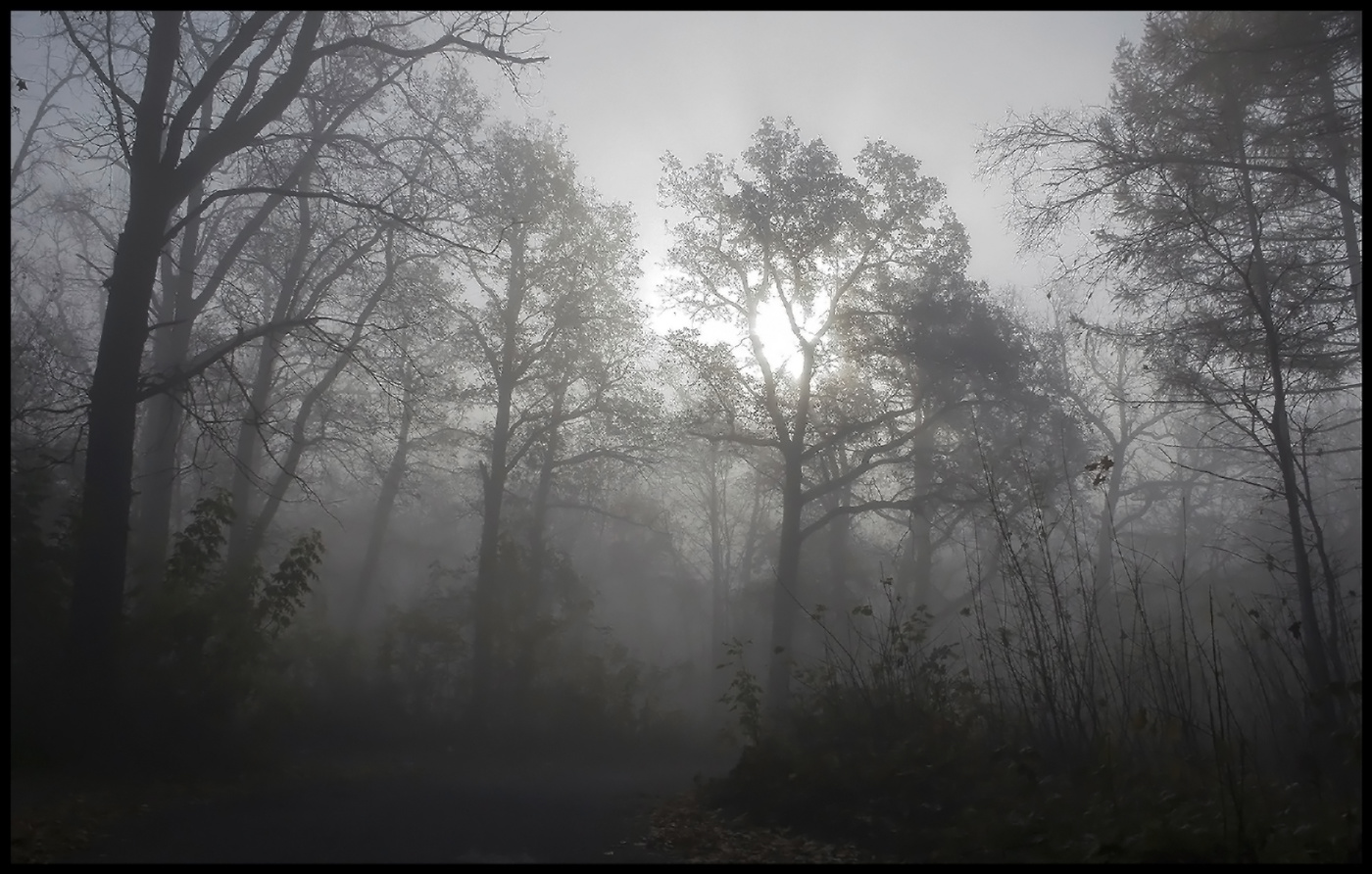 Nebliger Morgen