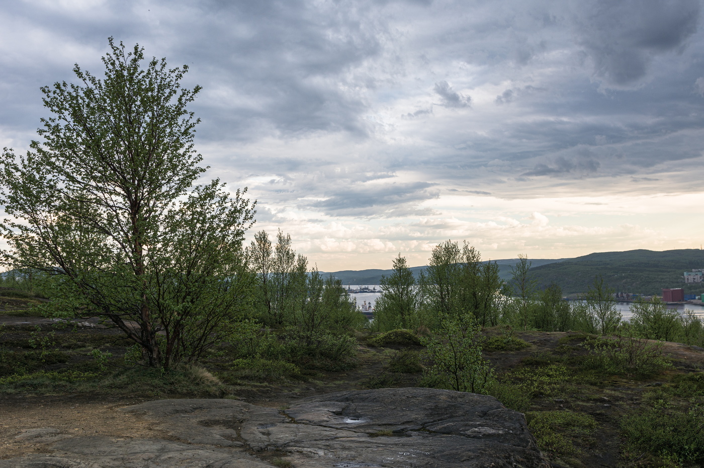 Der Sommer ist gekommen