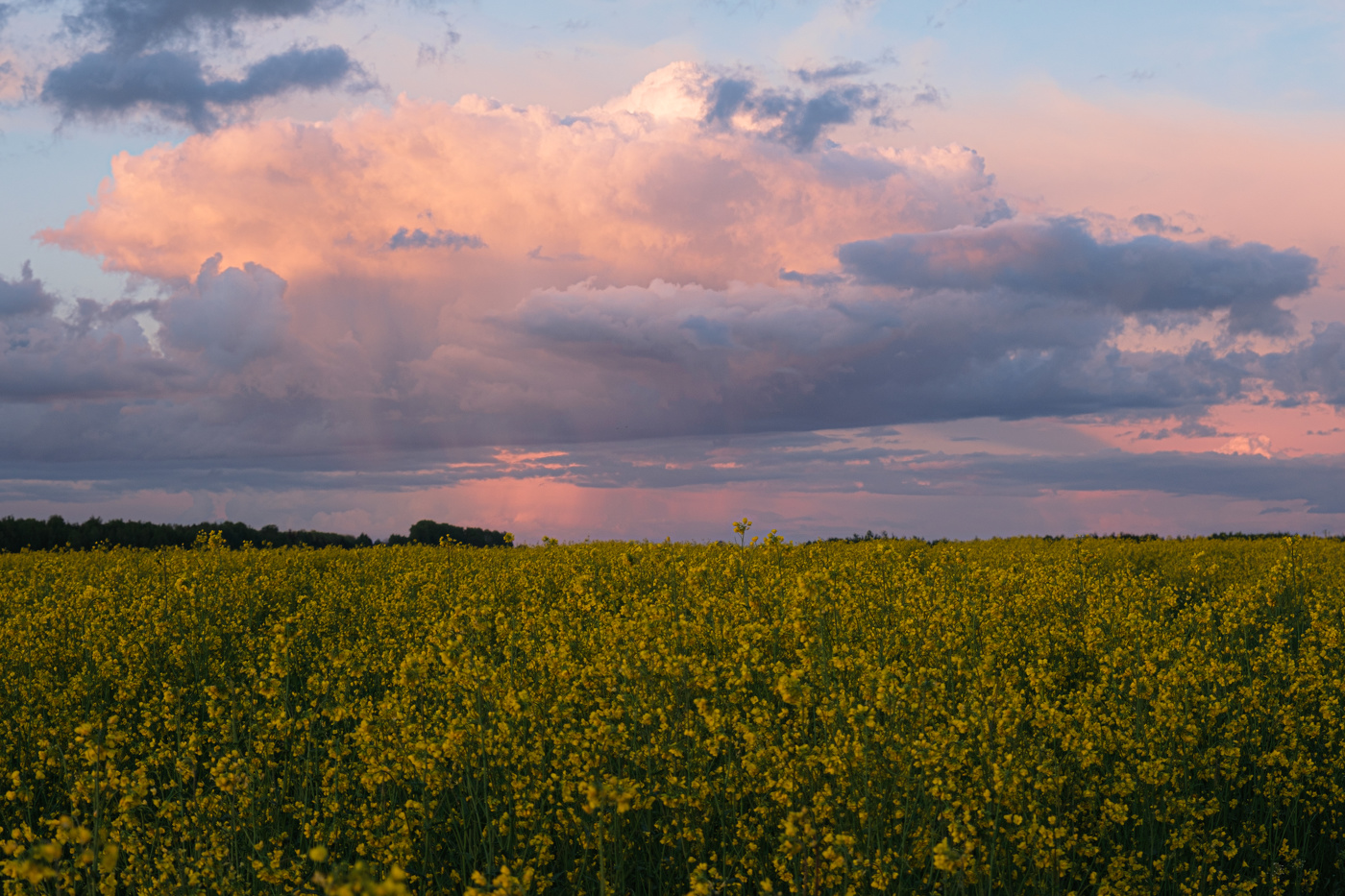 Sonnenuntergang nach regen