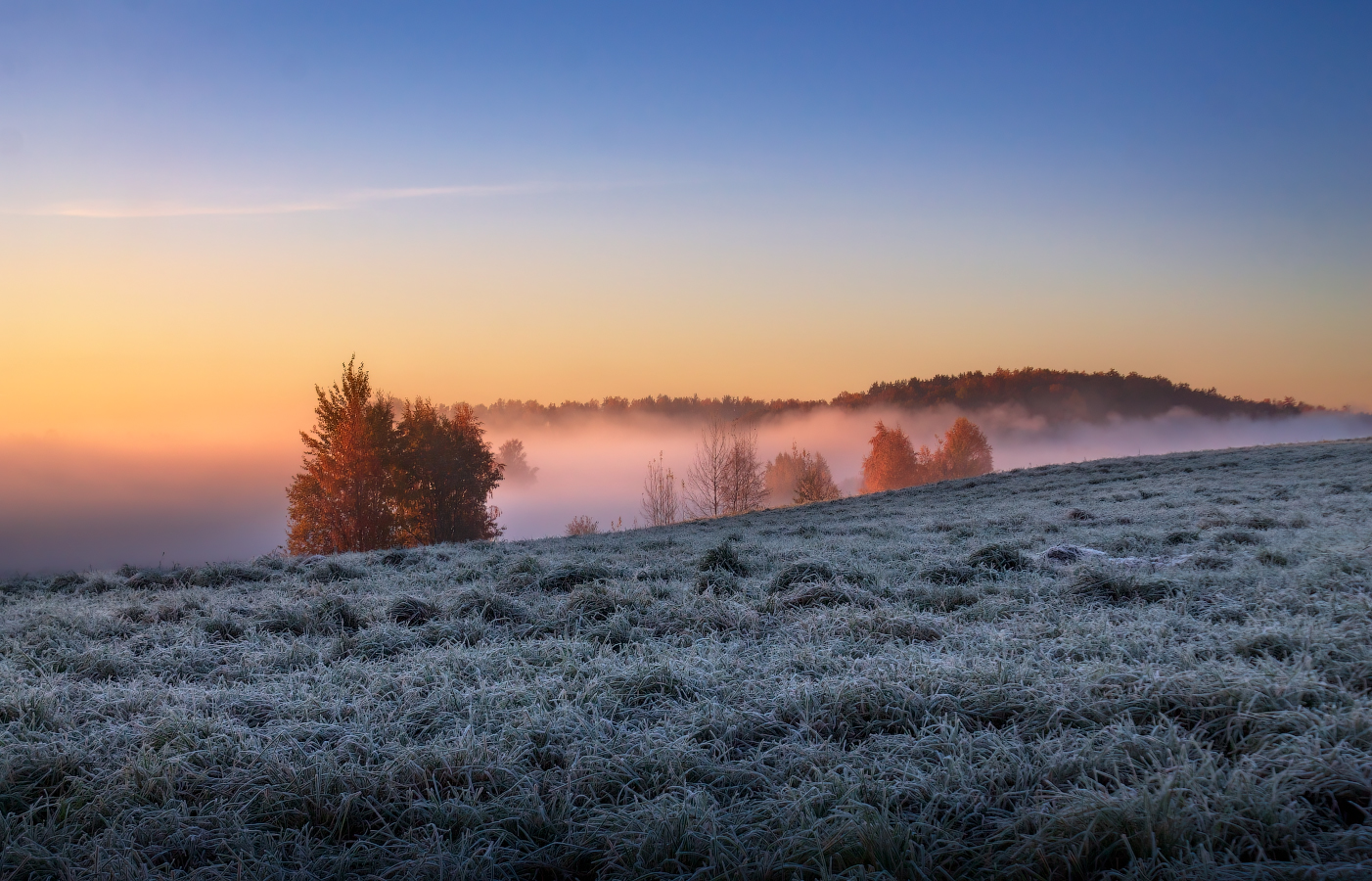 frostigen Morgengrauen