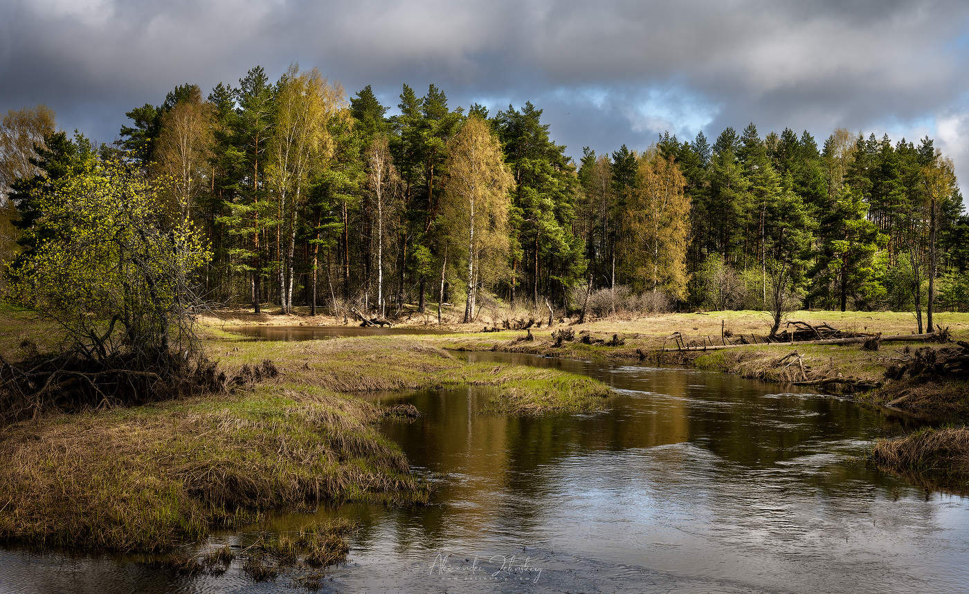 Farben des Frühlings