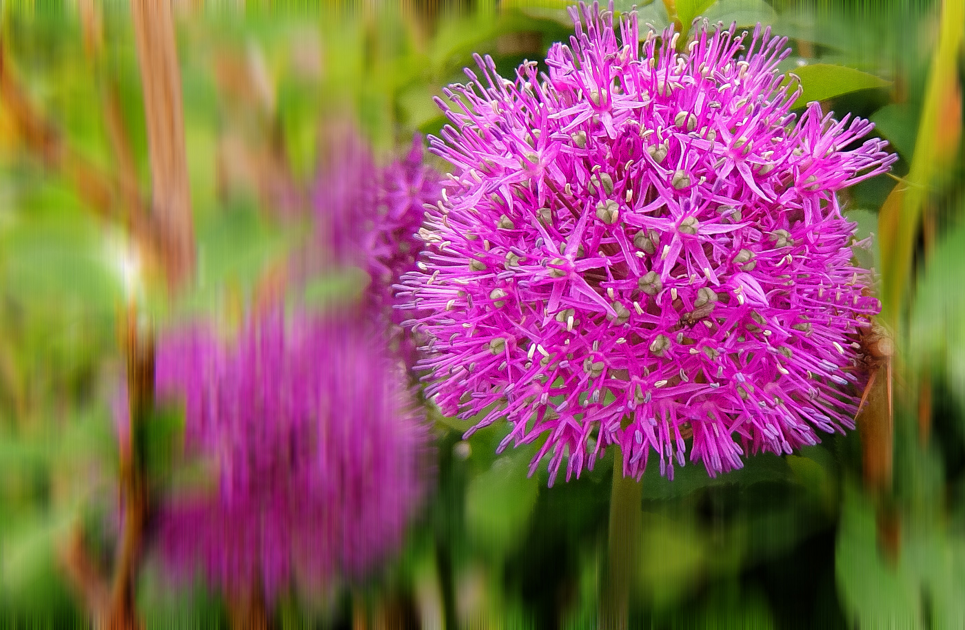 Der Beginn des Sommers.