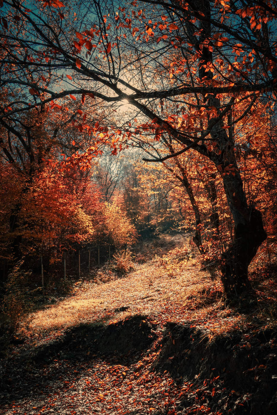 Wie in einem Märchen