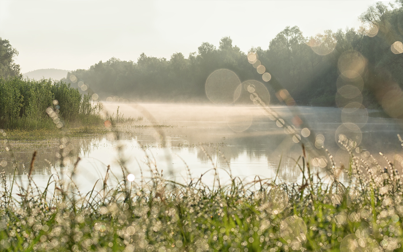 Am frühen Morgen ..