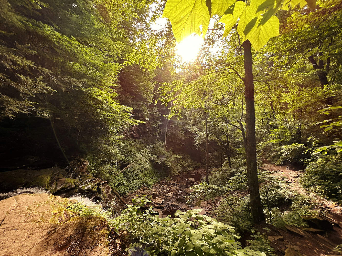 Die ersten Strahlen der Sonne