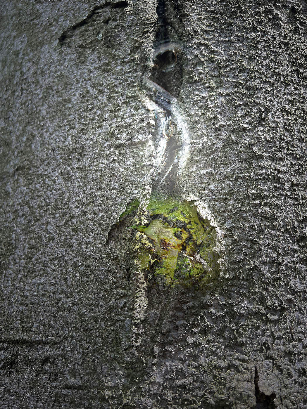 Wake up before you sleep