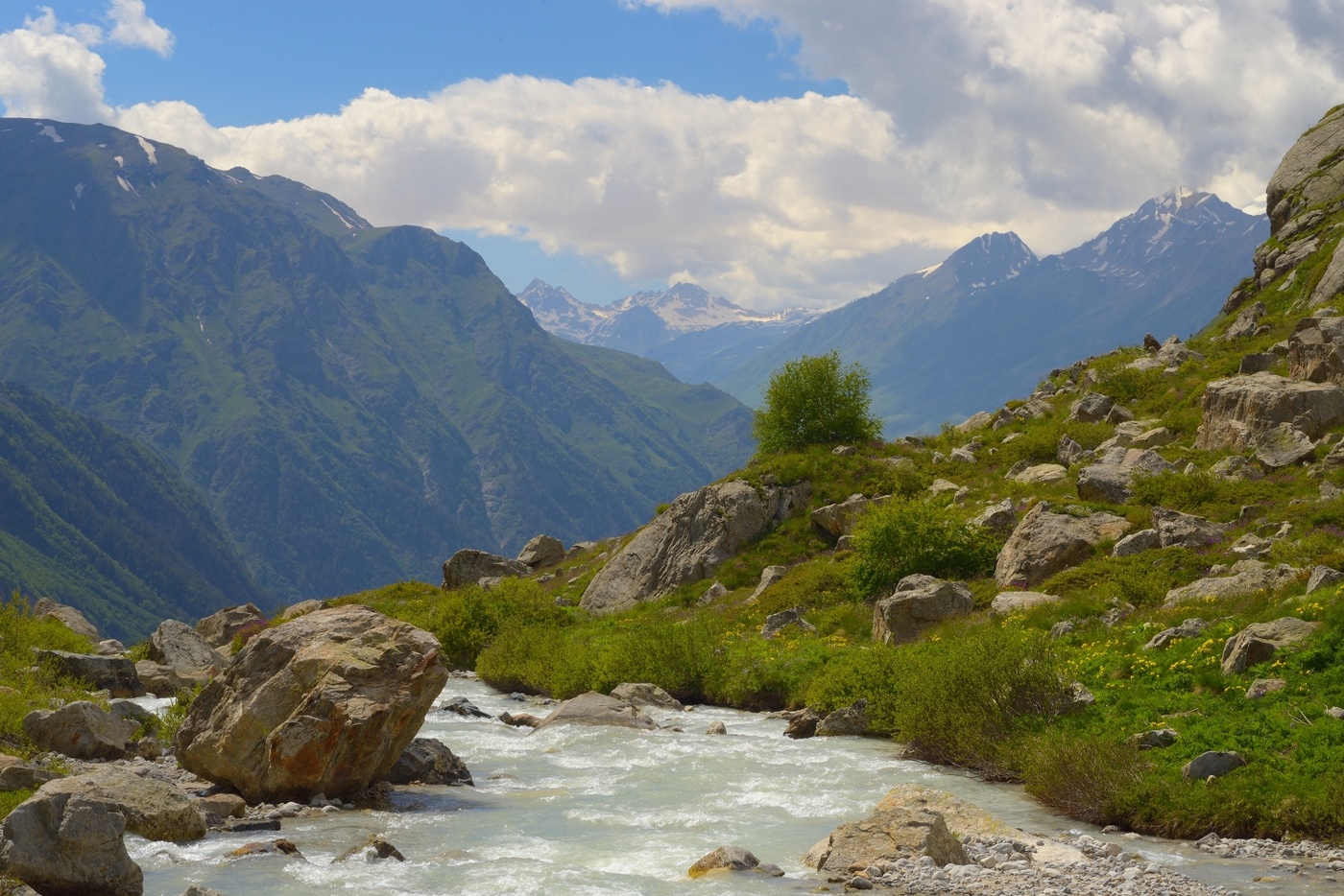Sommer in den Bergen