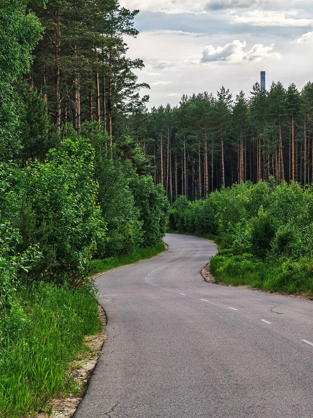 Forststraße