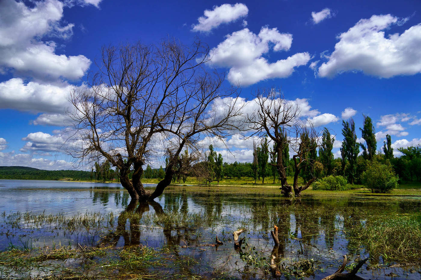 Simferopol Reservoir