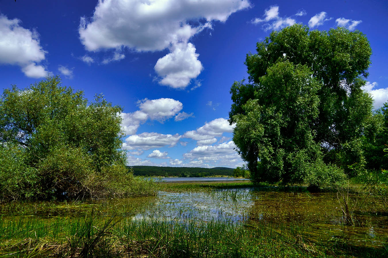 Simferopol Reservoir