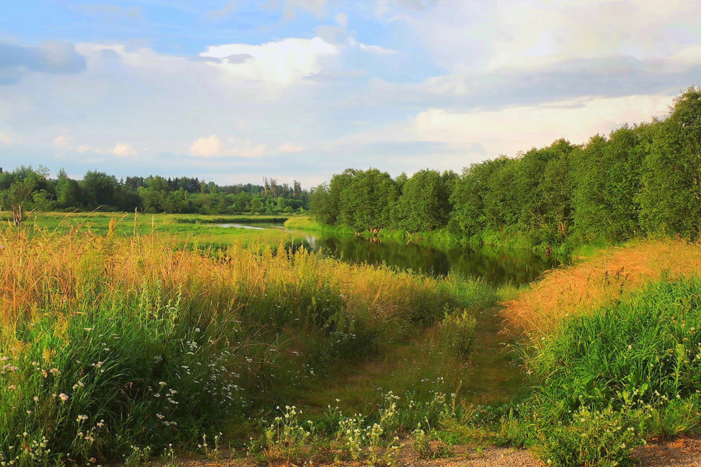Der Sommer ist eine kleine Leben