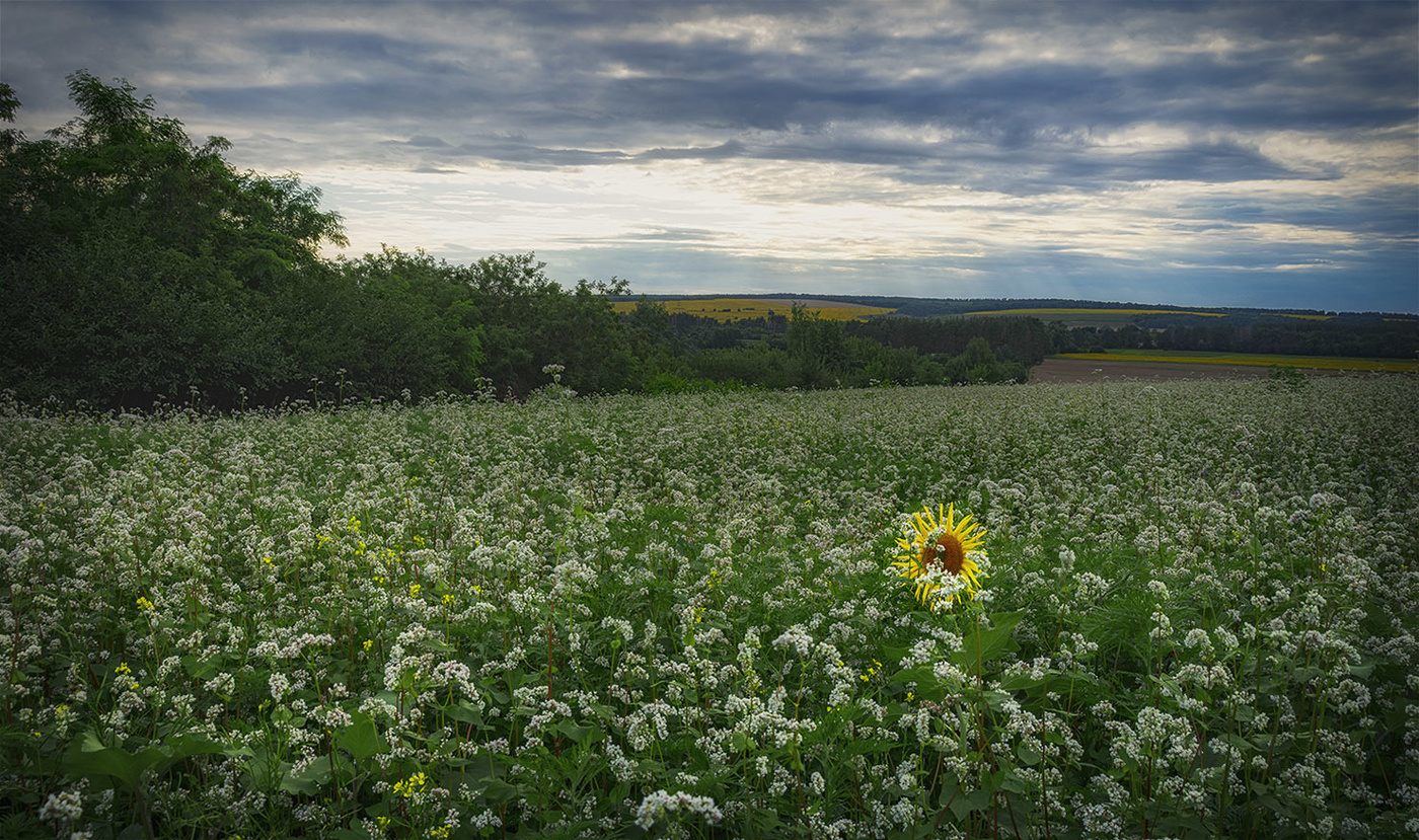 und ein Soldat auf dem Gebiet
