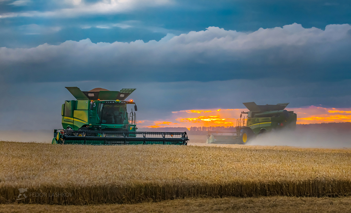 Battle for the harvest