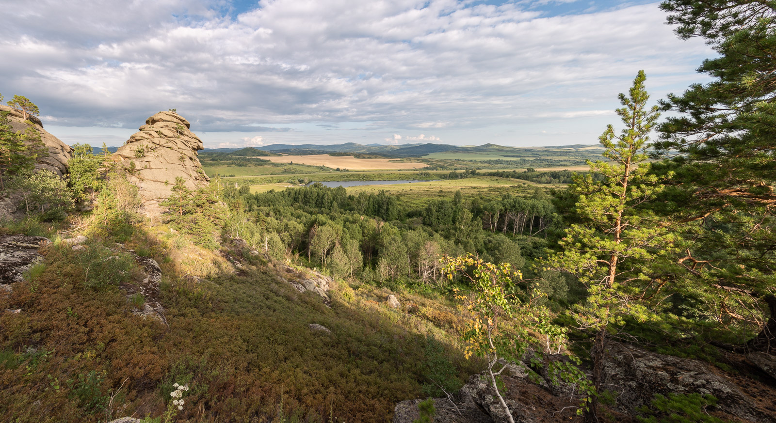 Einheimische Freiflächen