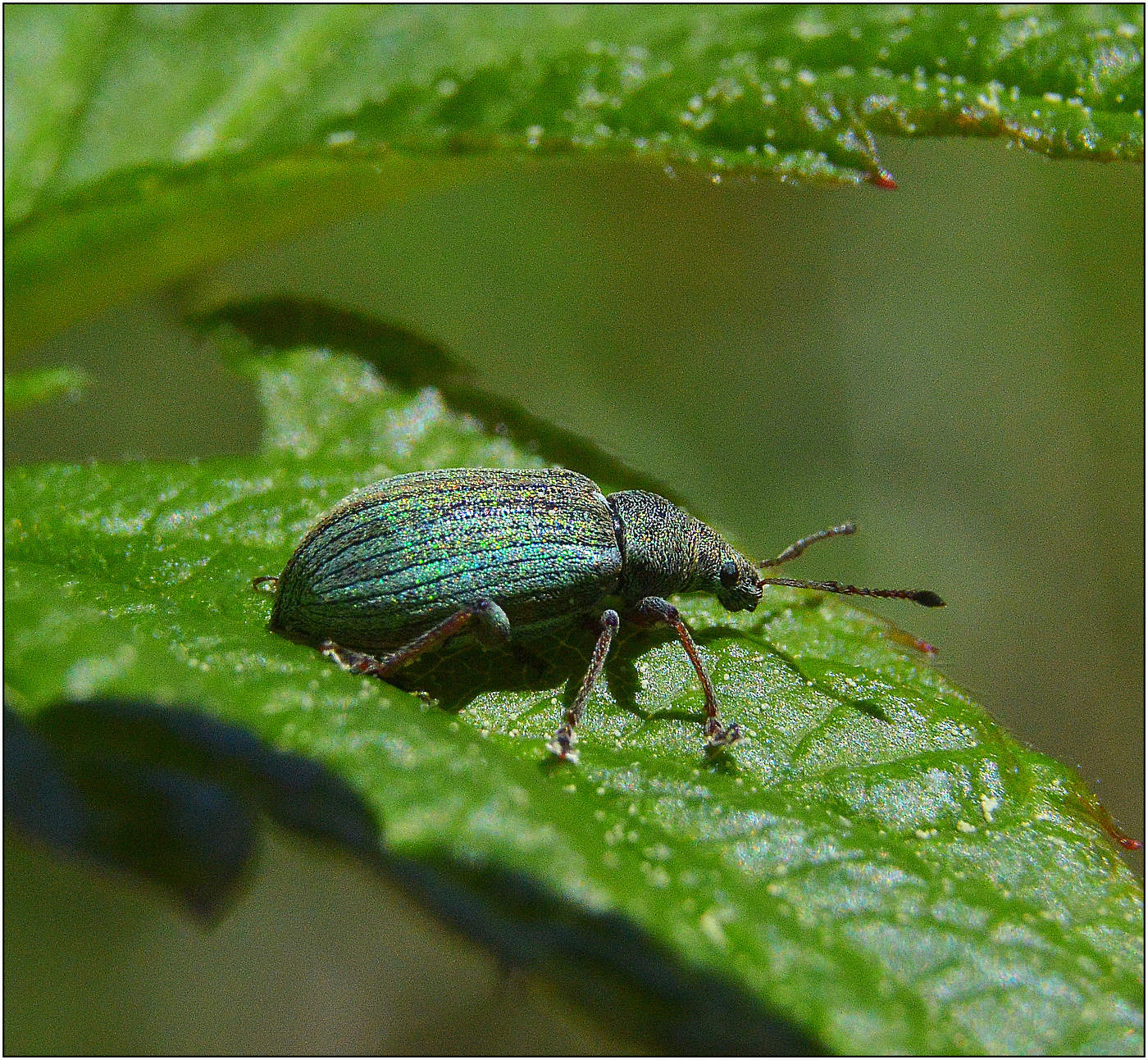 Ein Spaziergang an der frischen Luft .