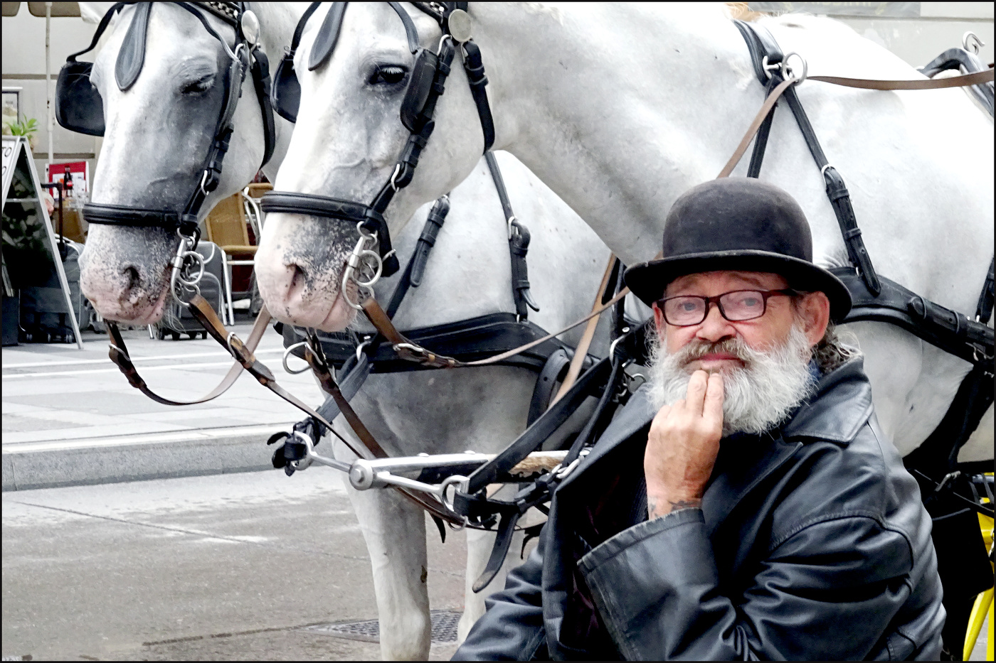 Portrait of the coachman