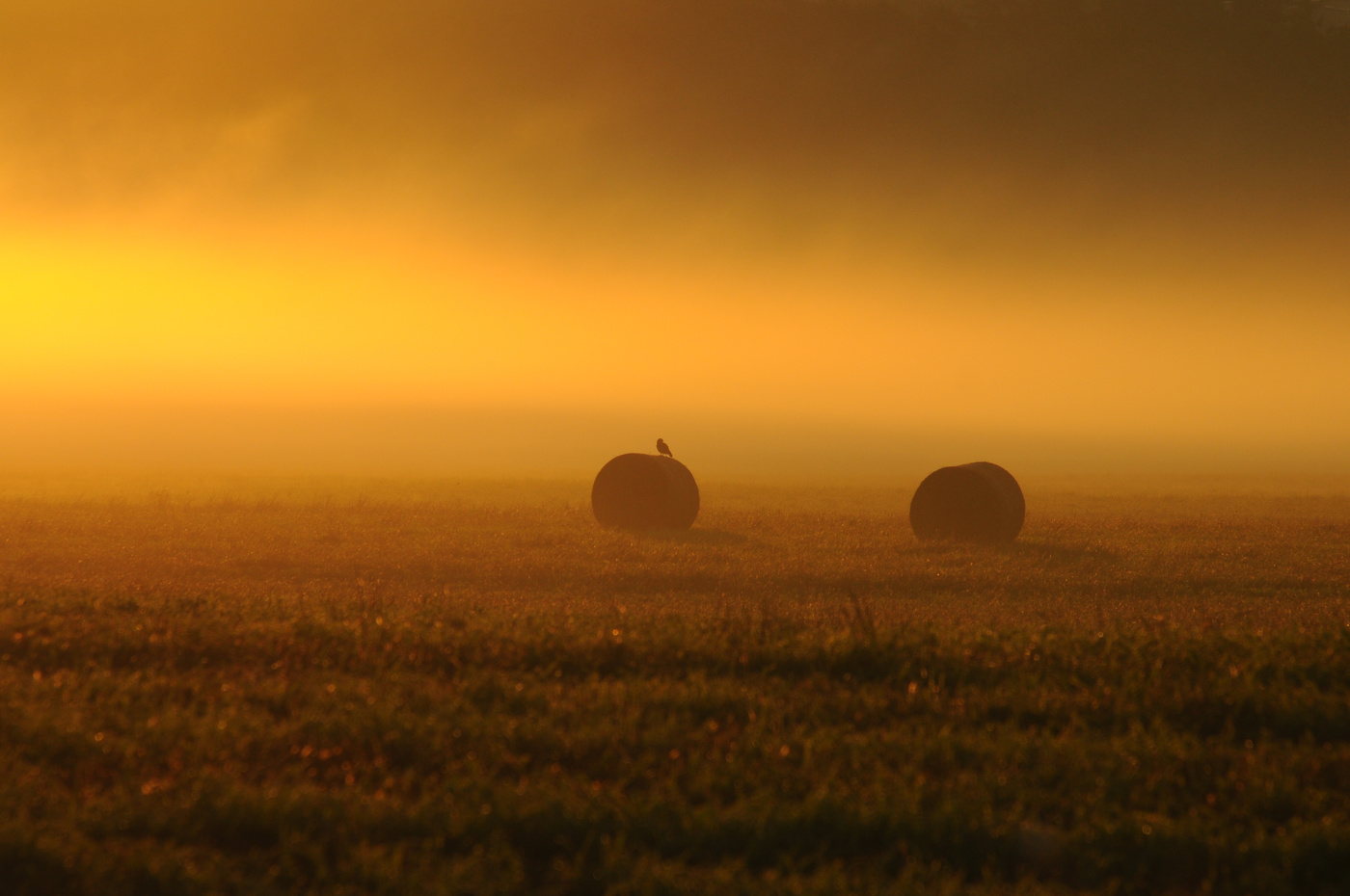 Begrüßen Sie den Morgengrauen