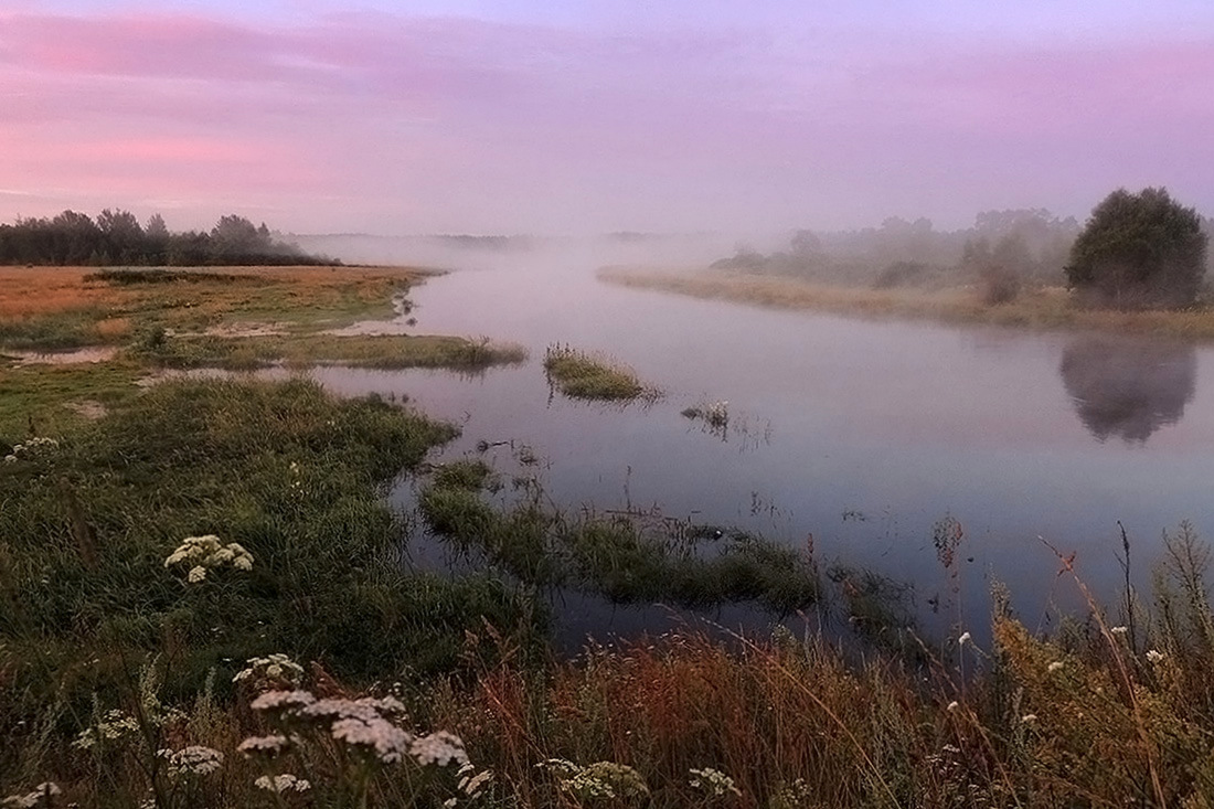 August der Morgendämmerung