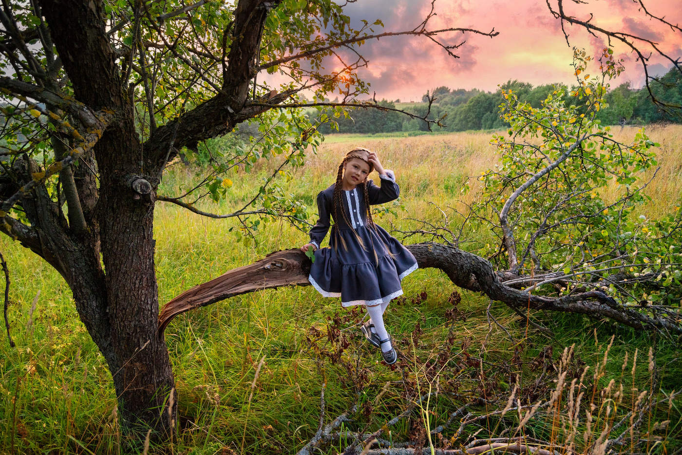 Rosafarbener Sonnenuntergang