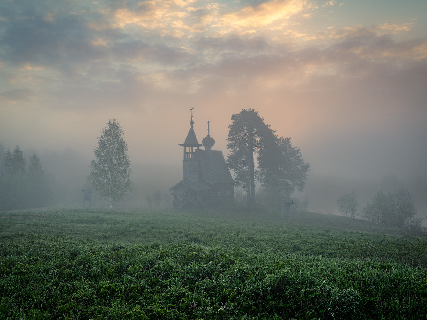 in den herbstlichen Wald