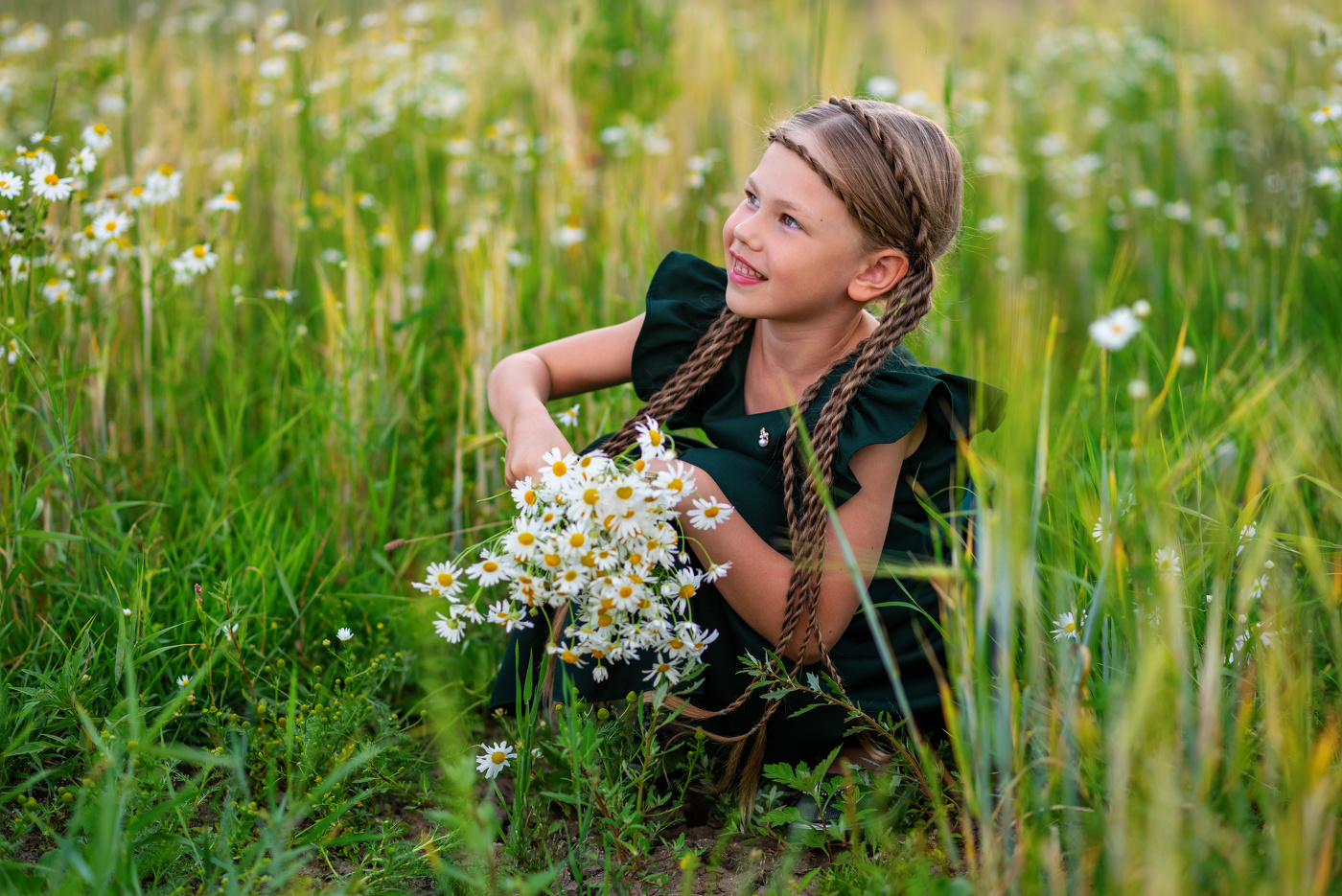Bouquet von Gänseblümchen