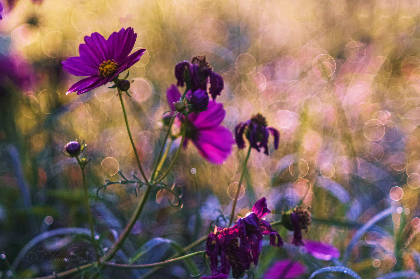 an der Schwelle zum Herbst