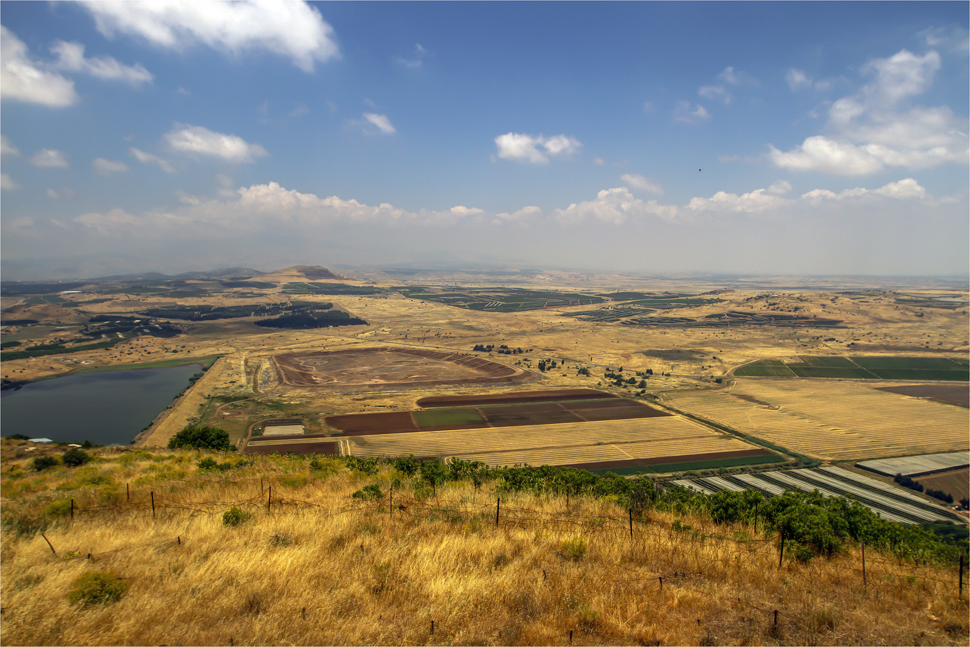Die Golan Heights