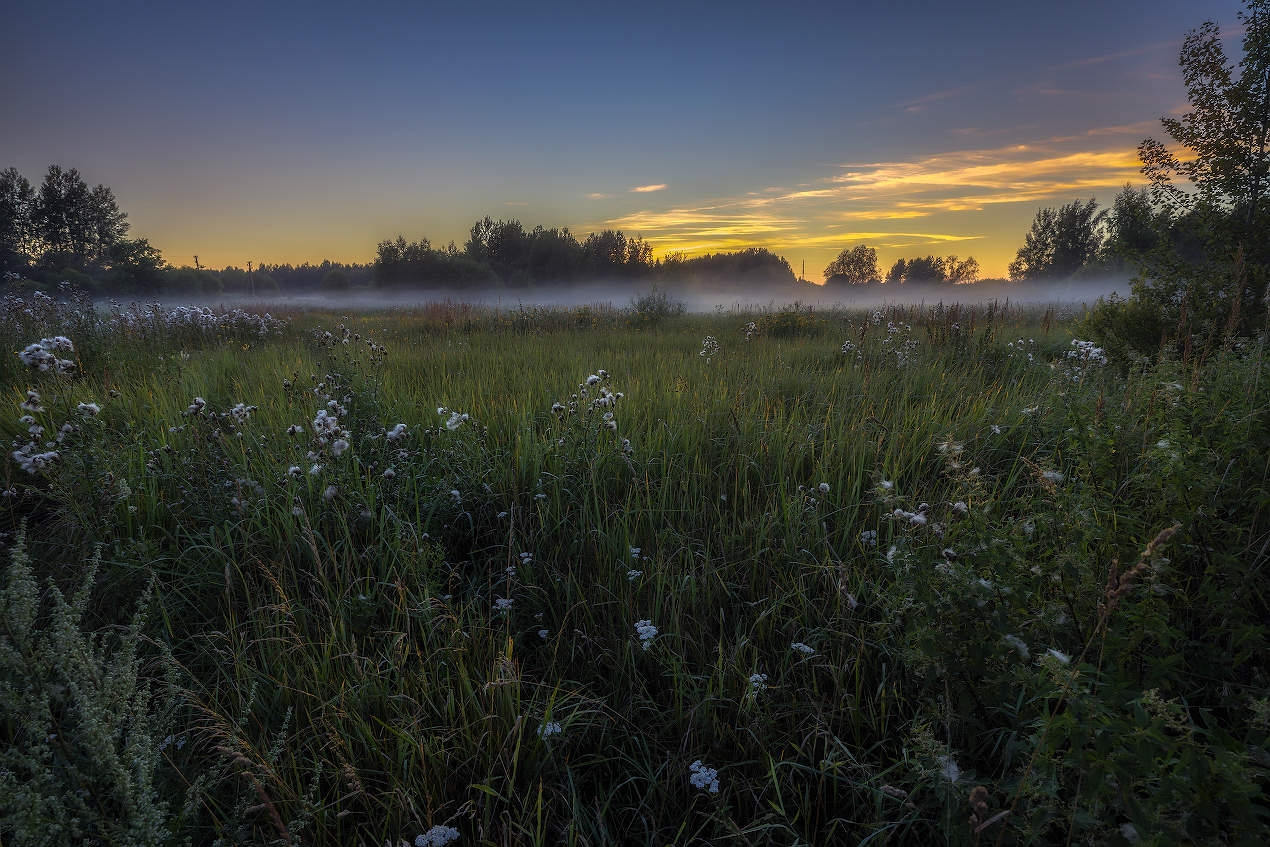 Letzte Tage des Sommers