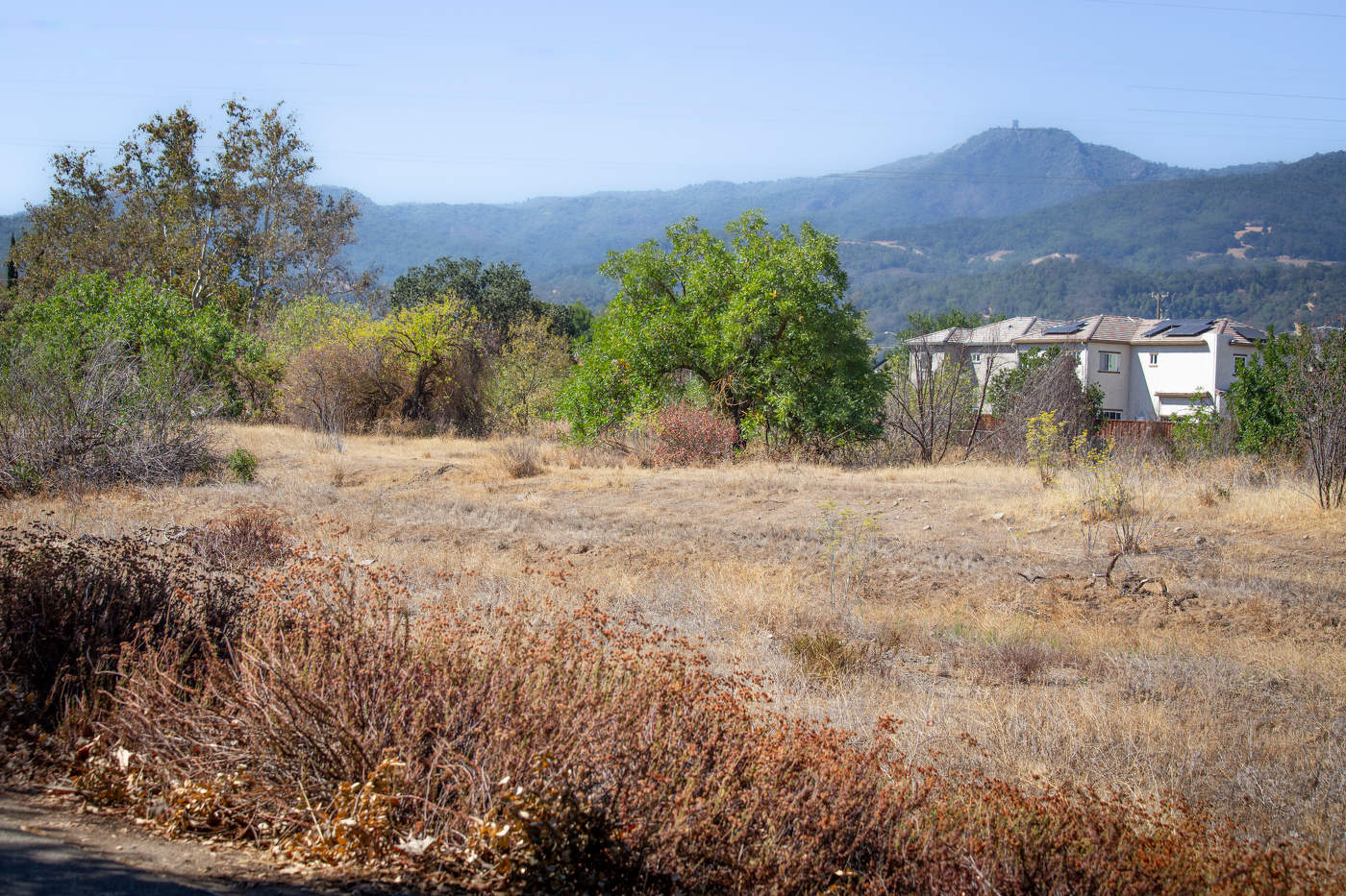 Irgendwo da draußen ...