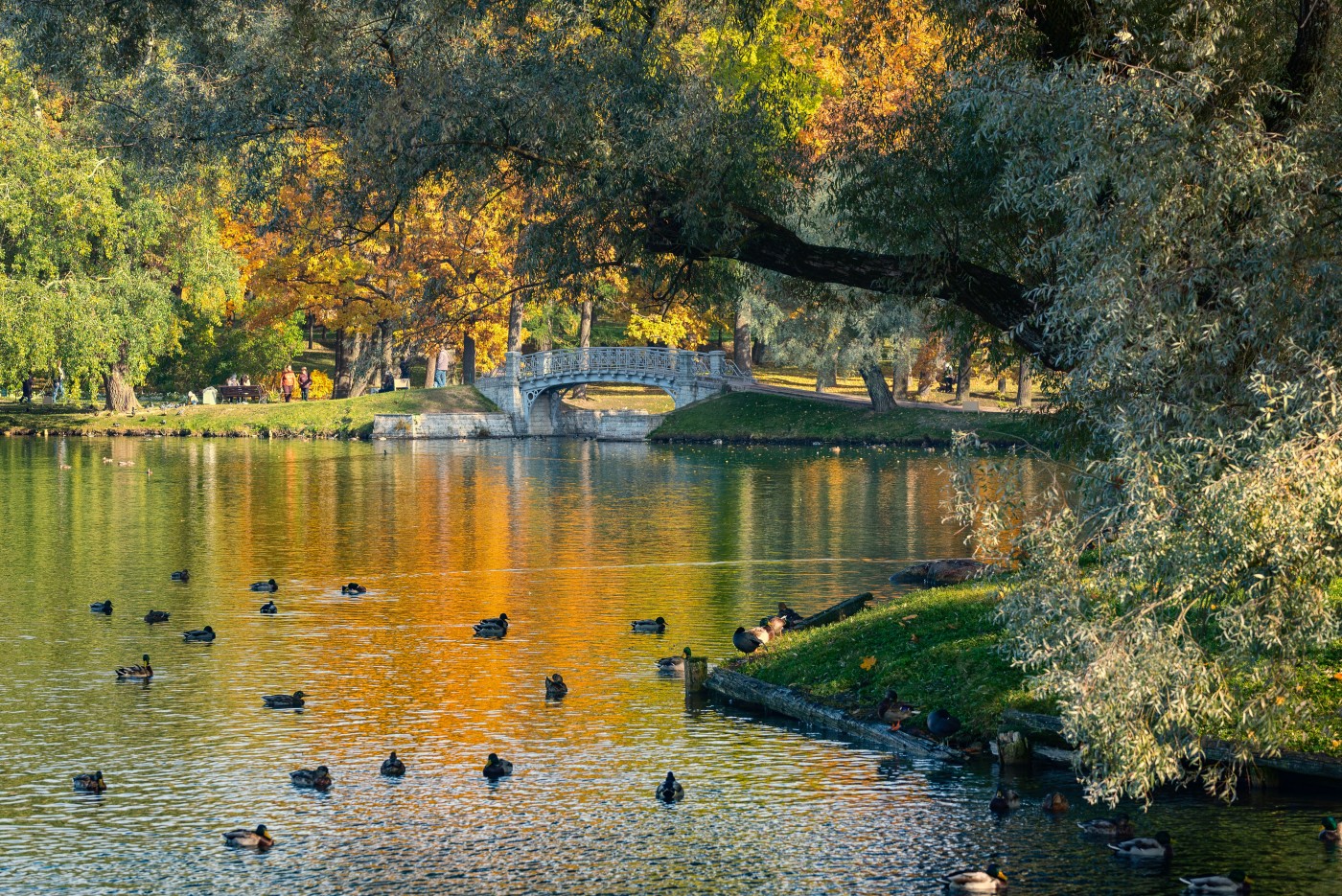 Autumn Gatchina