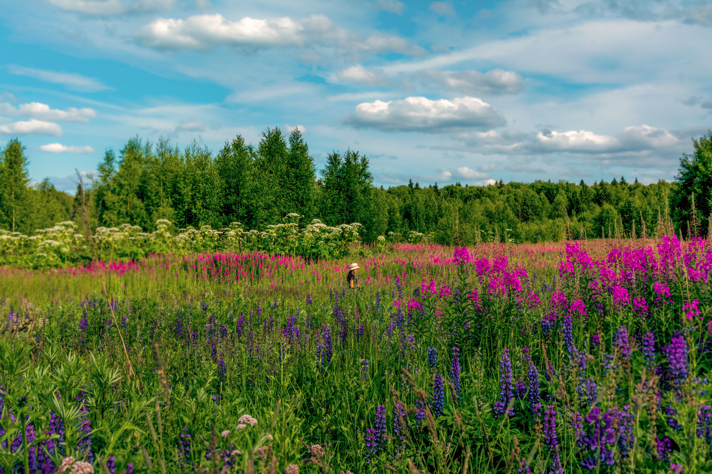Auf der anderen Station wird fallen ...