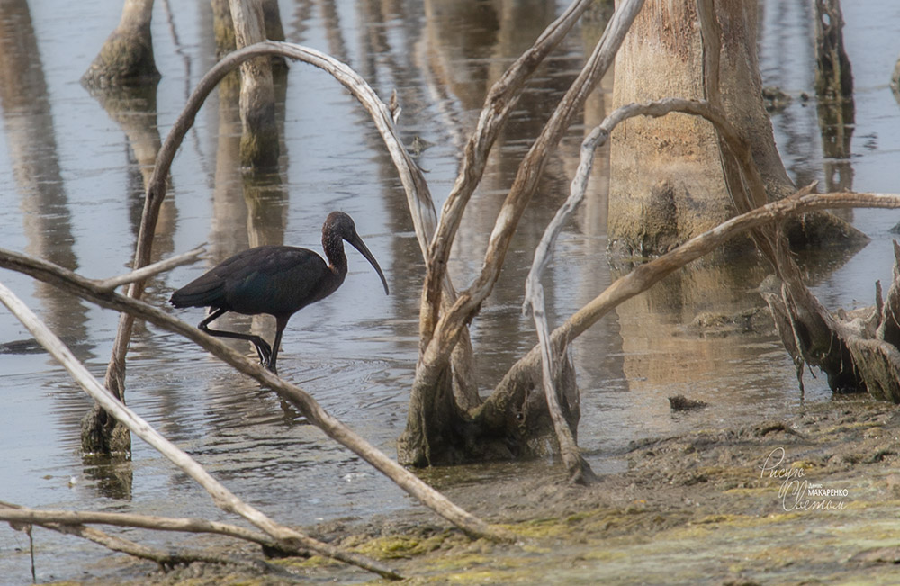 Wie in einem Märchen
