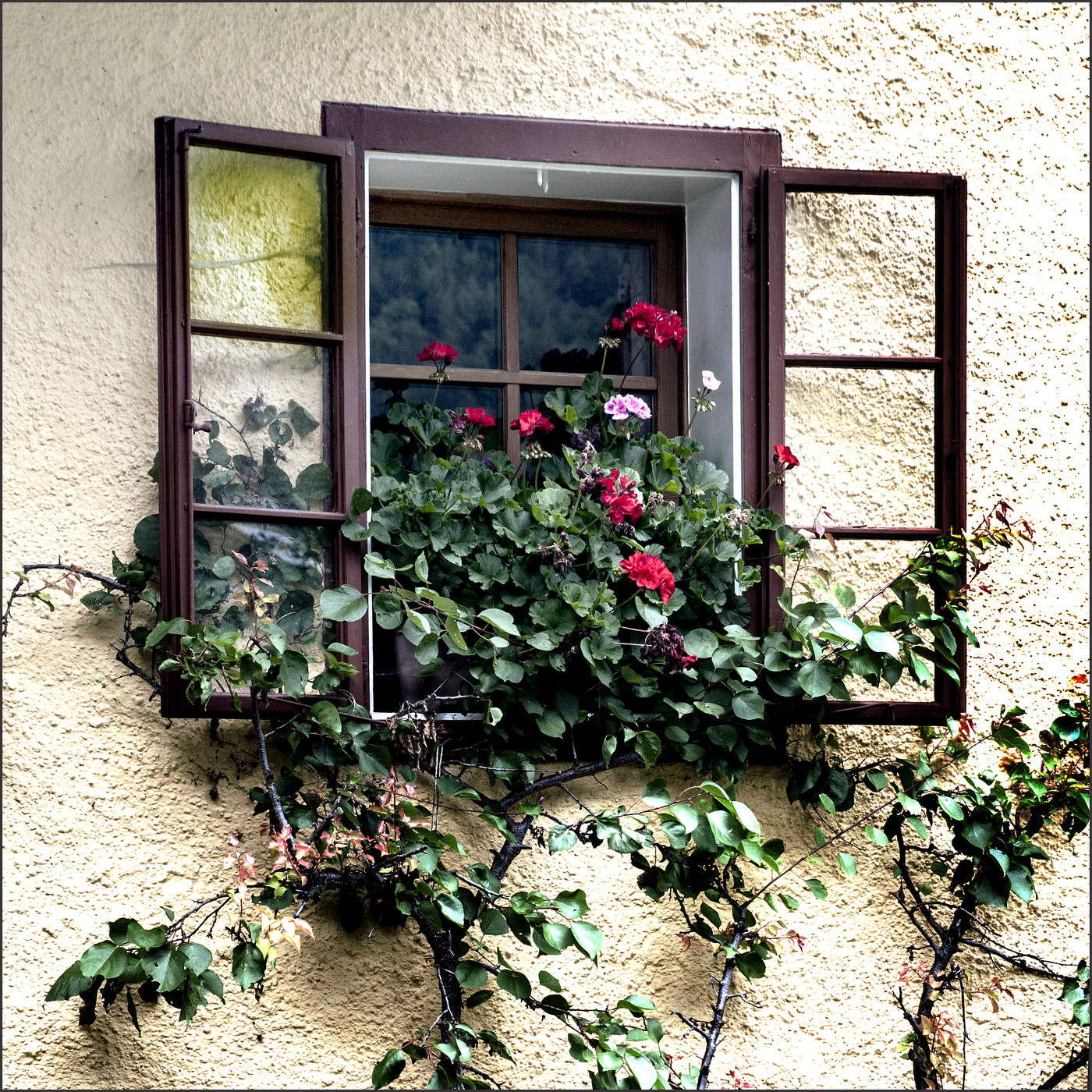 Light from flowers..